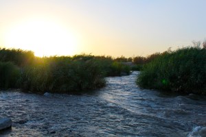 Las Vegas Wash Wetlands Park